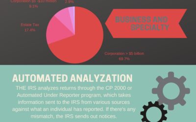 Navigating an IRS Audit